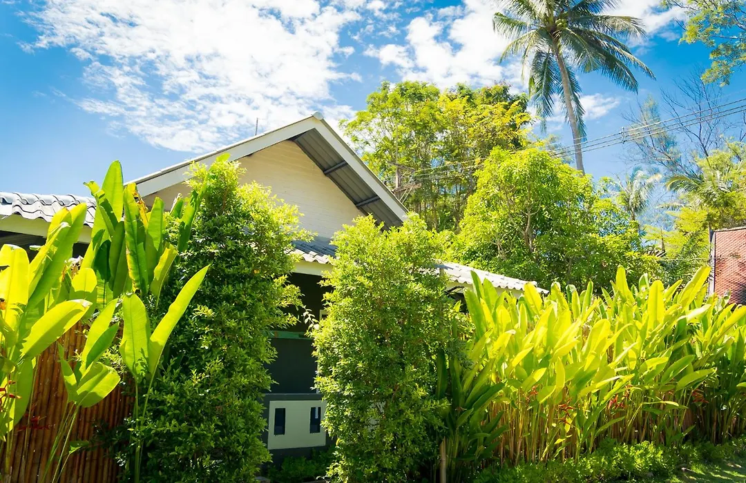 Oasis Yoga Bungalows-1